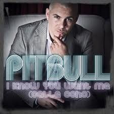 pitbull2.jpg