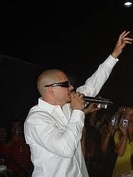 pitbull3.jpg
